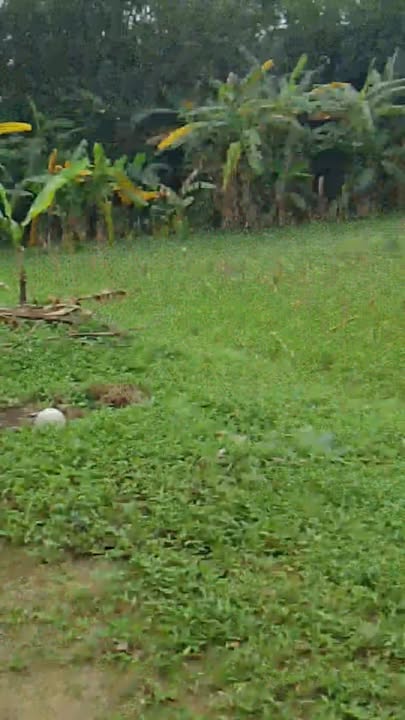 Đất nền Đại Nghĩa, Đại Lộc 110m² giá 350 triệu - Sổ hồng trao tay ngay!