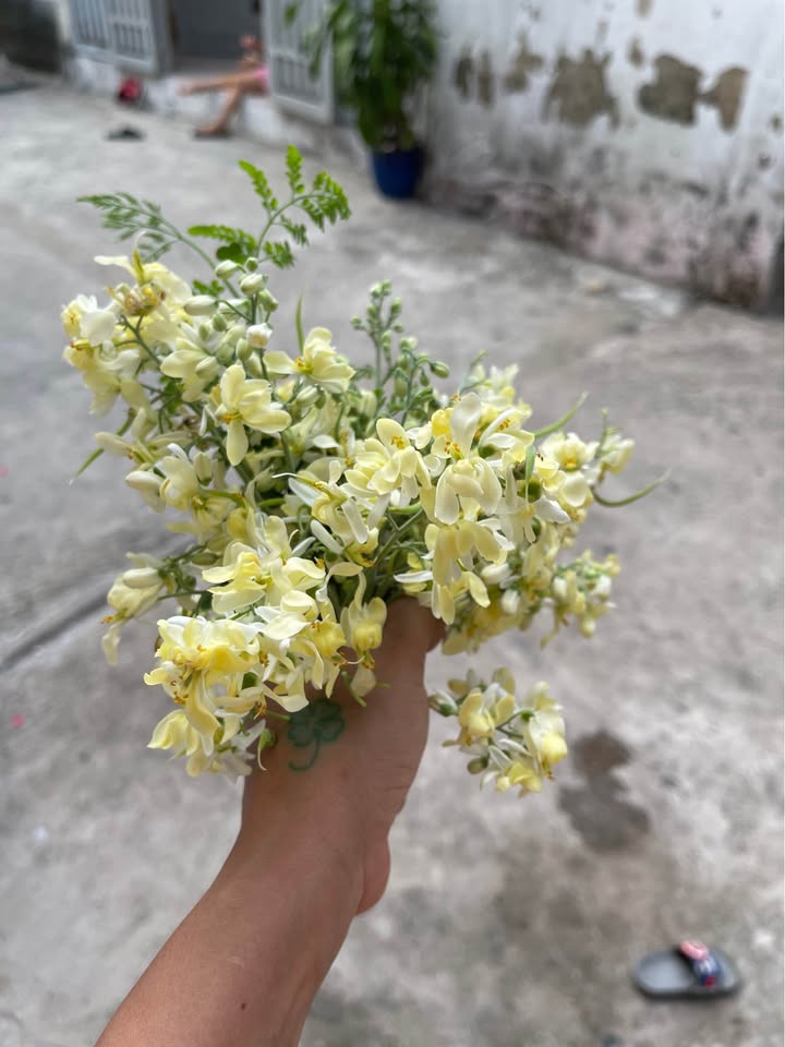 Nhà bán Tân Bình, Dĩ An 60m² giá 1.8 tỷ - Vị trí kinh doanh thuận lợi!