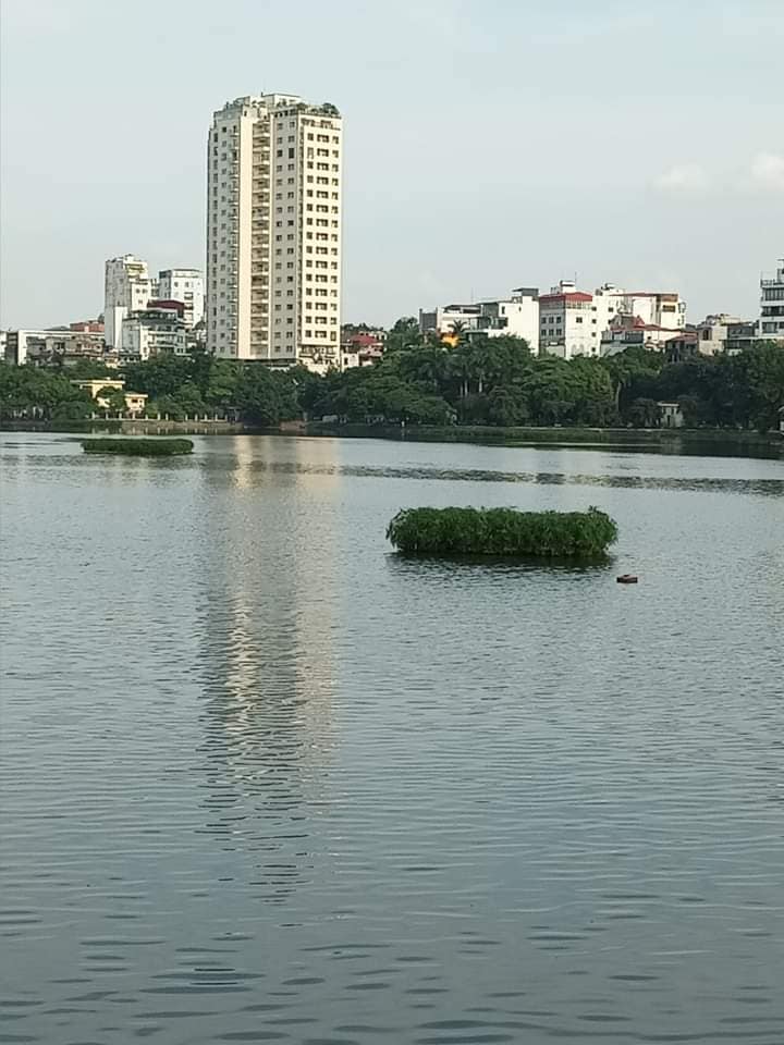 Nhà phố Thụy Khuê Tây Hồ 39m² giá 5.15 tỷ - Kinh doanh đỉnh cao!