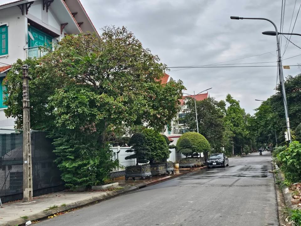 Đất biệt thự Lý Thánh Tông, TP Bắc Ninh 250m² giá 2 tỷ - Cơ hội đầu tư không thể bỏ lỡ!