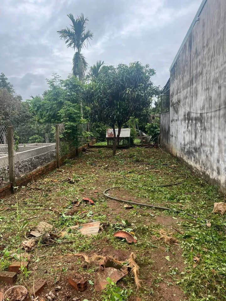 Đất mặt tiền đường KA1, Tân An, Buôn Ma Thuột 250m² - Cơ hội đầu tư hiếm có!