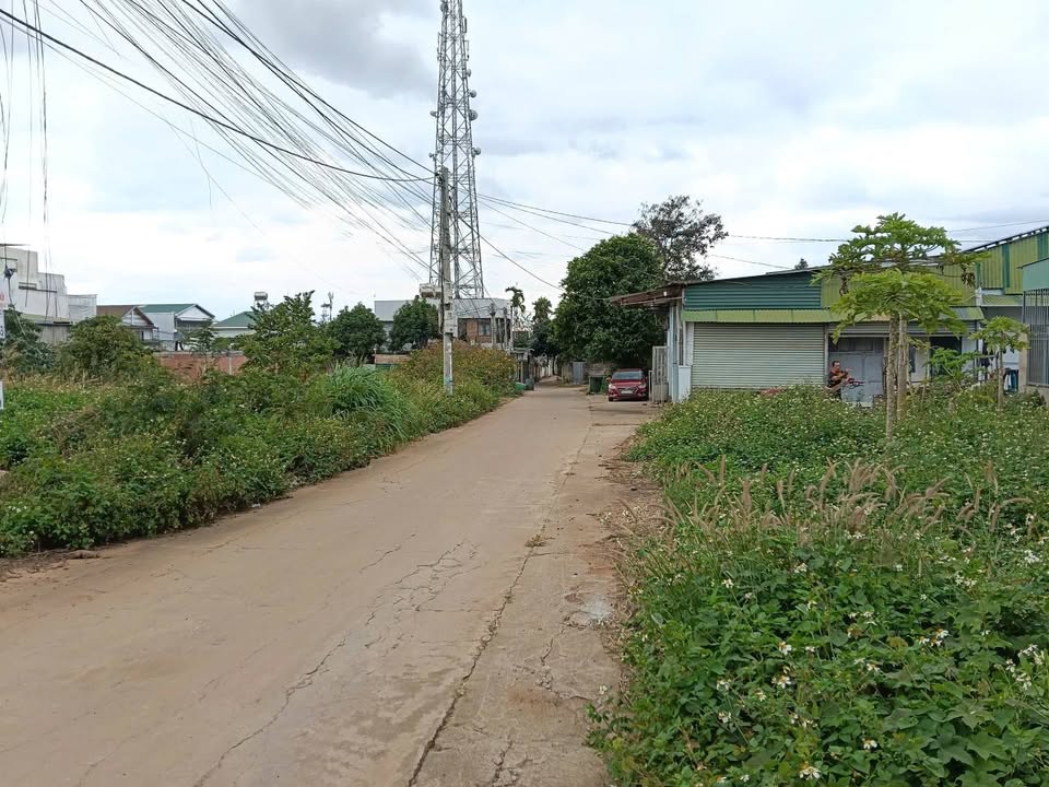 Đất nền hẻm 184 Giải Phóng, Tân Lợi, 115m² giá 3.2 tỷ - Cơ hội đầu tư tuyệt vời!