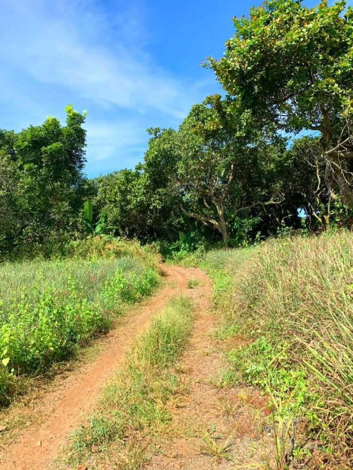 Đất nền 3.434m² xã Phú Hoà, Định Quán - Giá 868 triệu, sổ hồng riêng, bớt lộc!