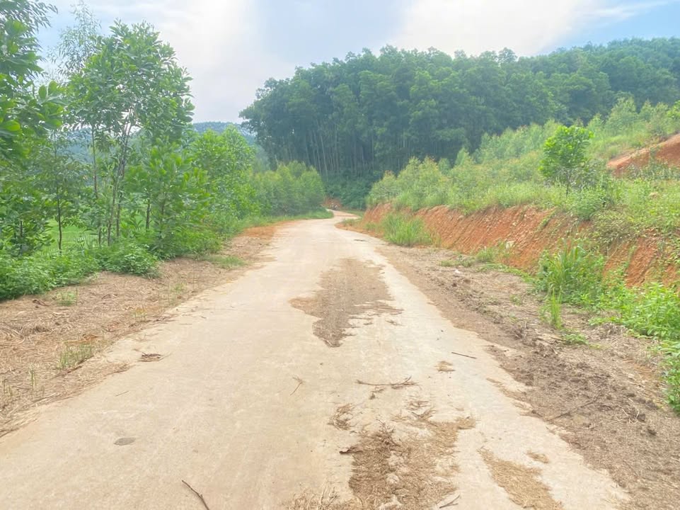 Đất thổ cư 3955m² tại Đồng Tiến - Giá chỉ 1 tỷ, view cánh đồng đẹp!