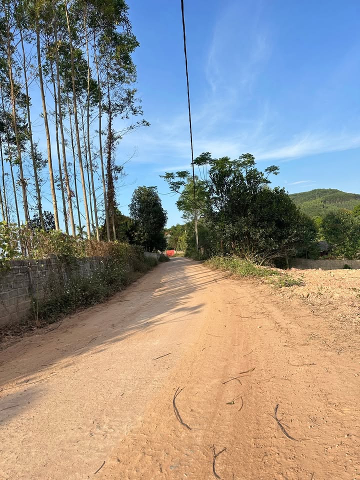 Bán đất chính chủ tại Đông Sơn, Yên Thế 120m² chỉ từ 300 triệu - Cơ hội đầu tư tuyệt vời!