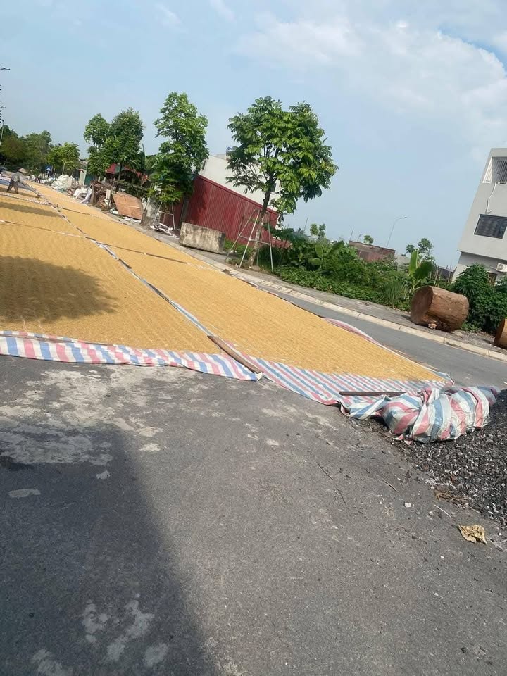 Đất nền Lỗ Khê, Liên Hà, Đông Anh 86.5m² giá thỏa thuận - Mặt tiền rộng, đầu tư sinh lời!