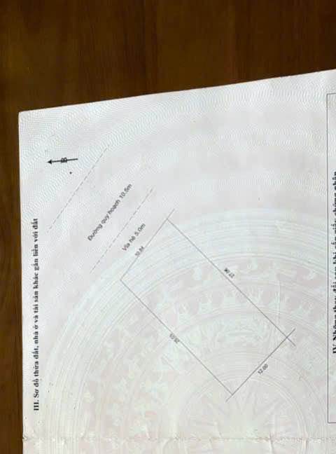 Đất biệt thự đường Lê Sỹ, phường Hòa Xuân, 318m² - Cơ hội đầu tư vàng!