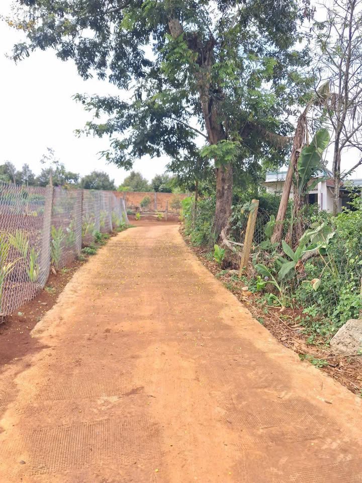 Đất nền liền kề Trần Nhật Duật Buôn Ma Thuột 160m² giá 595 triệu - Đầu tư sinh lời ngay!