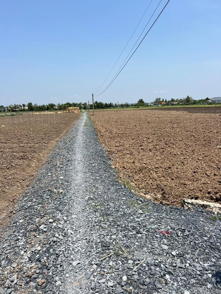 Đất thổ cư 271m² xã Gò Công Đông chỉ 250 triệu - Sổ đỏ trao tay ngay!