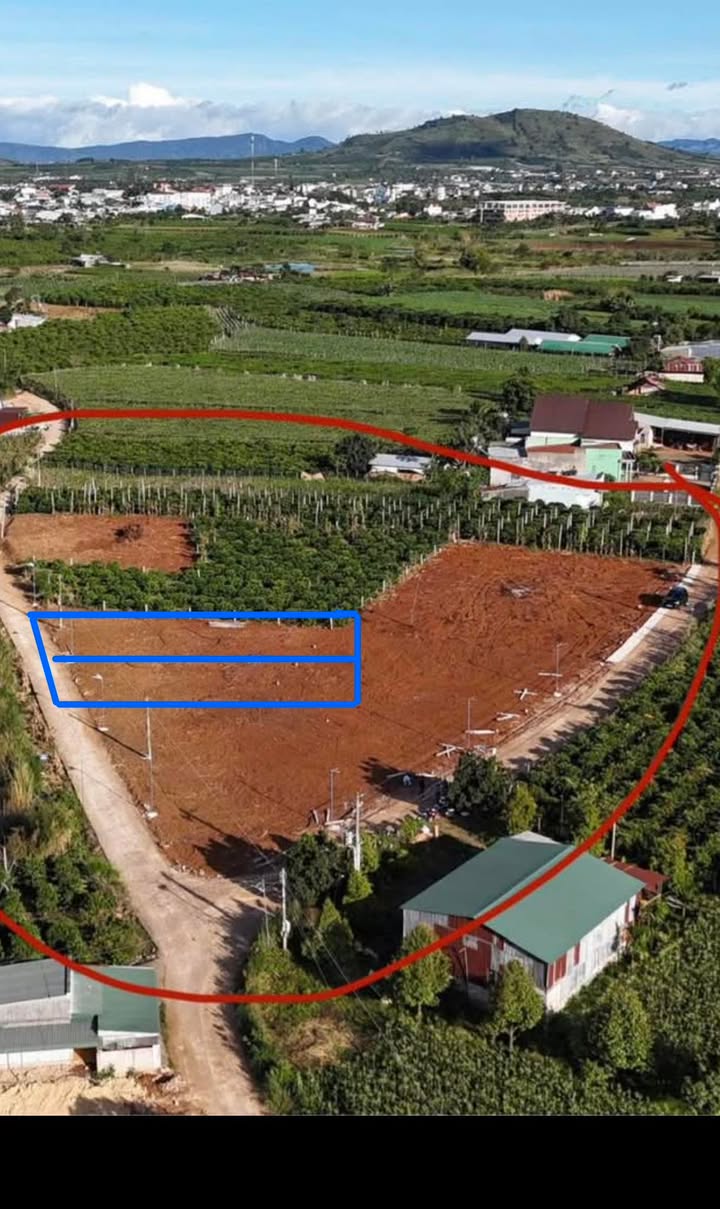 Đất nền Tân Hội, Đức Trọng 180m² giá chỉ 700 triệu - Vị trí view hồ cực đẹp!