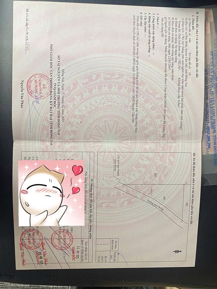 Đất Sổ Đỏ Bảo Bình 1800m² giá chỉ 850 triệu - Cơ hội đầu tư tuyệt vời!