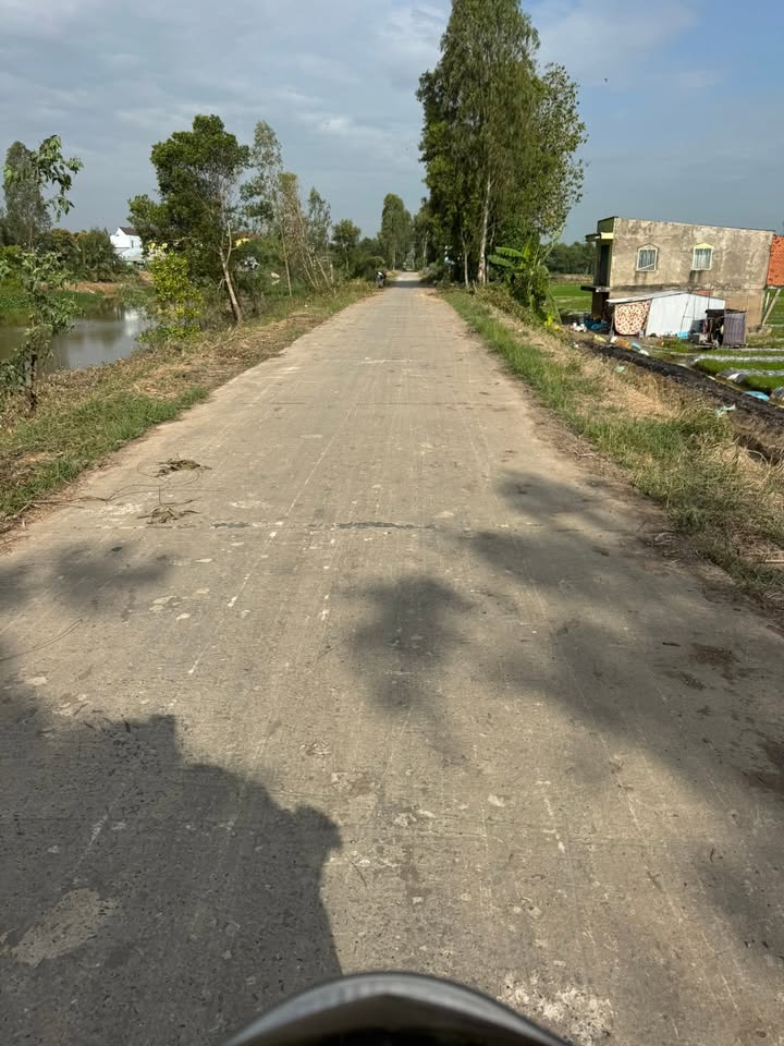 Đất nền Phú Xuân Tam Nông 60.000m² giá 8.4 tỷ - Mặt tiền đường đal, xe hơi vào tận nơi!