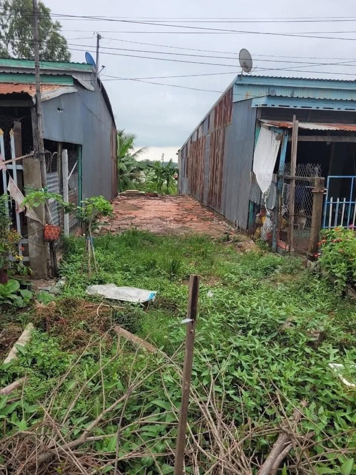 Đất nền chính chủ mặt tiền đường DT 841, xã Thường Phước, Đồng Tháp - Giá chỉ 700 triệu!