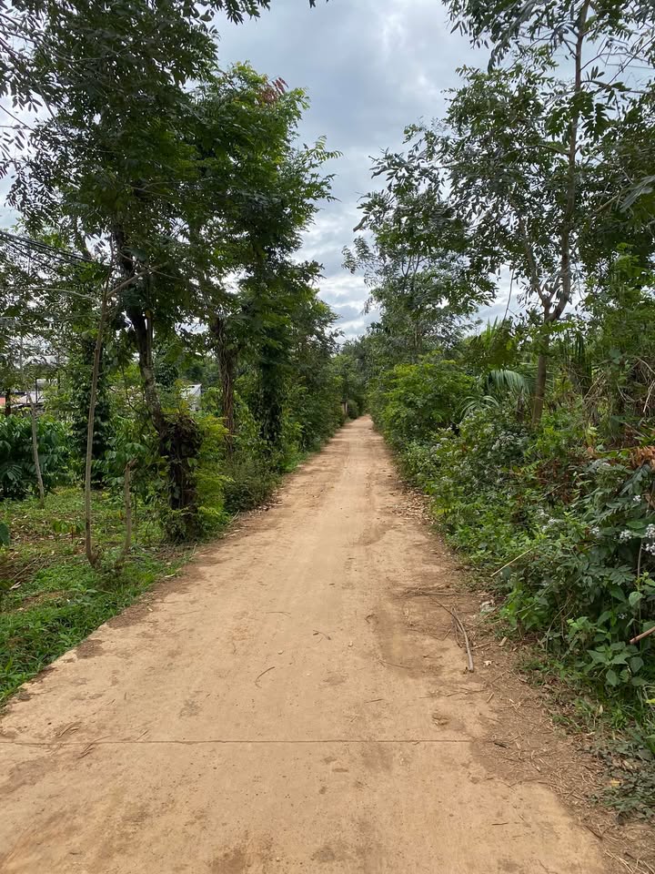 Đất vườn Ea Tiêu 16800m² giá 450 triệu - Đầu tư sinh lời ngay!