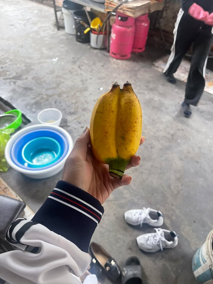 Đất liền kề Đẩu Sơn - Phù Liễn 50m² giá chỉ 900 triệu - Cơ hội đầu tư tuyệt vời!