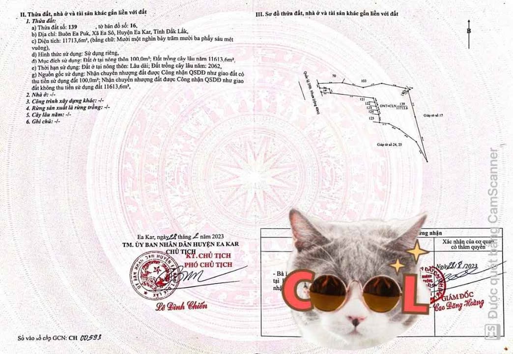 Đất mặt tiền Quốc Lộ 29, Ea Kar, Đắk Lắk 1,2ha chỉ 1,97 tỷ - Cơ hội đầu tư sinh lời!