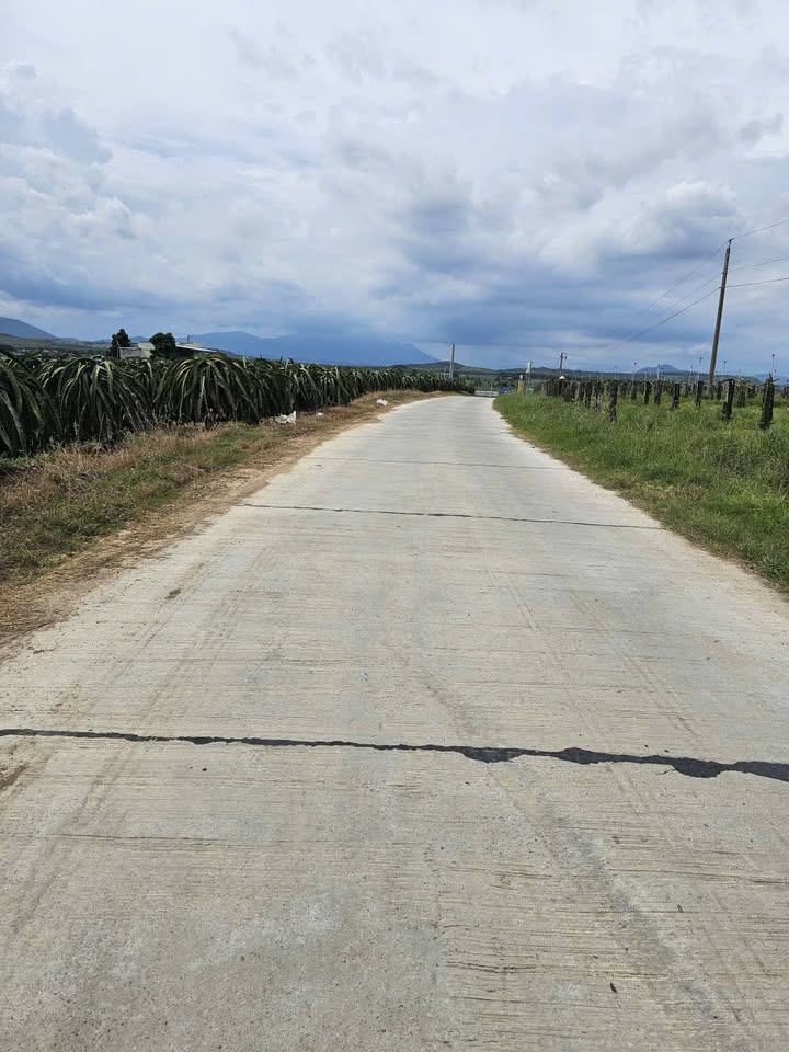 Đất nông nghiệp 7000m² tại Thôn Phú Thọ, Hàm Kiệm - Giá chỉ 2.52 tỷ VND!