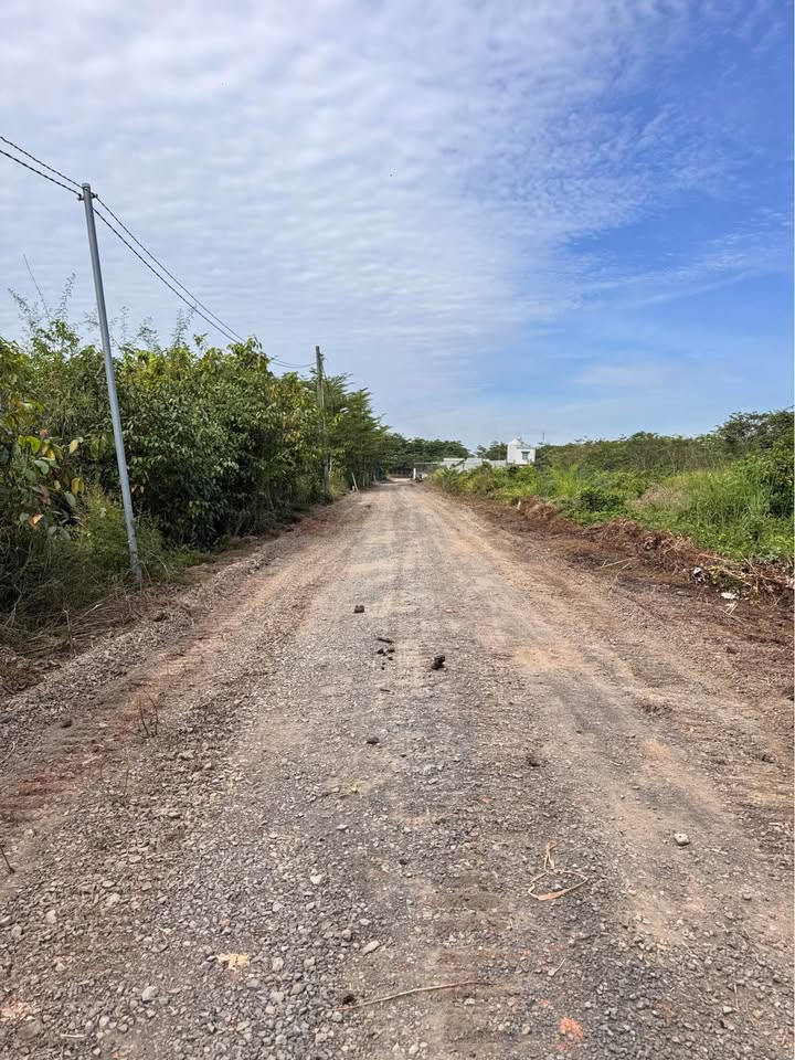 Đất nền thổ cư Sông Trầu, Đồng Nai 277m² giá 1.5 tỷ - Sổ đỏ chính chủ, xây dựng tự do!