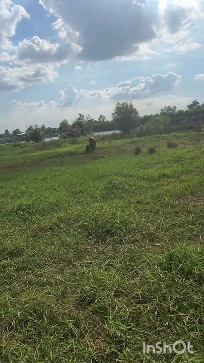 Đất thổ cư và nông nghiệp xã Bình Hiệp 1.440m² giá 1.8 tỷ - Pháp lý rõ ràng, thương lượng tốt!