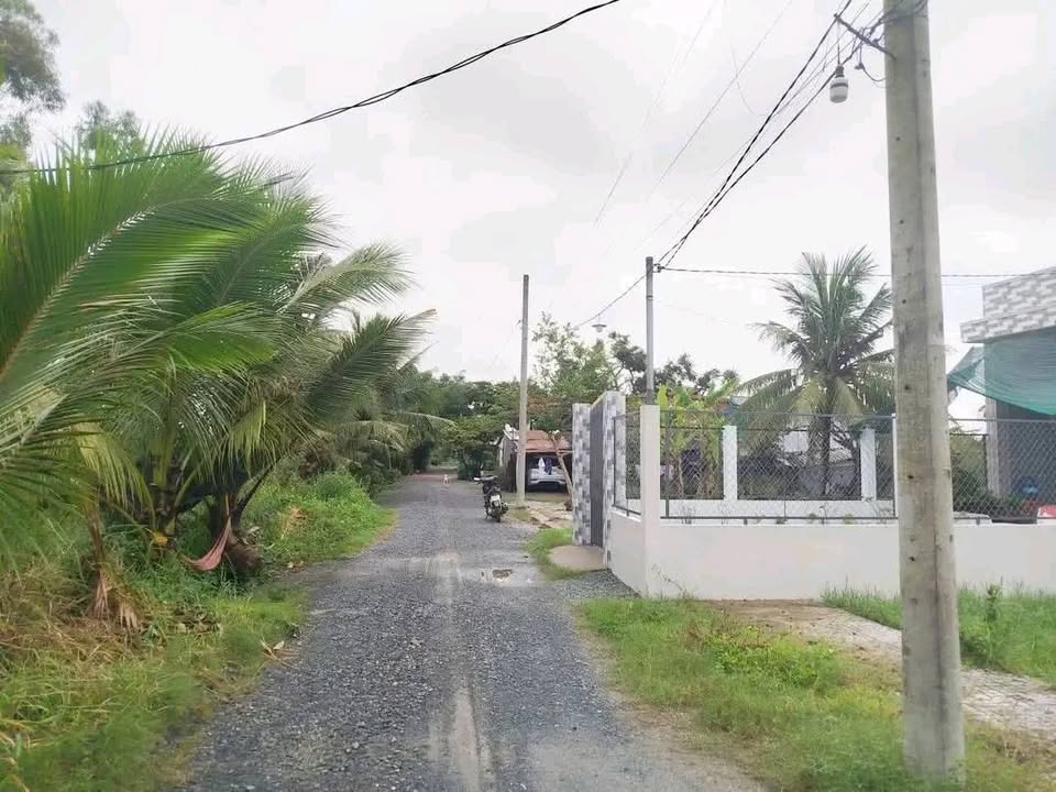 Đất thổ cư 223m² đường Đá Xanh, TP Tân An - Giá 1.65 tỷ, vị trí đắc địa!