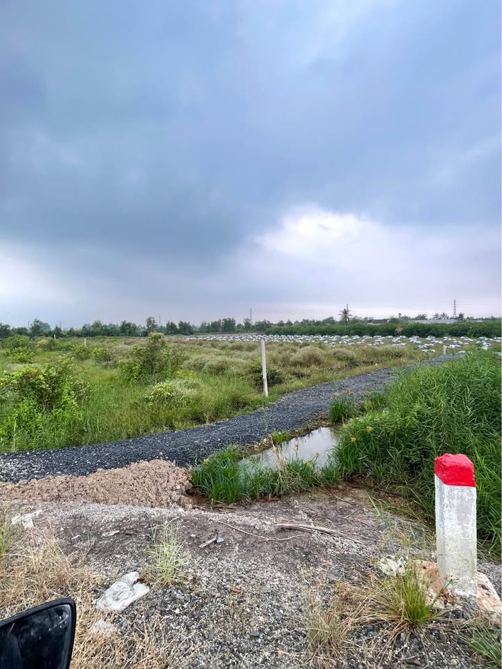 Đất vườn 975,6m² ấp 5 Bình Đức Long An - Giá chỉ 990 triệu, đầu tư sinh lời!