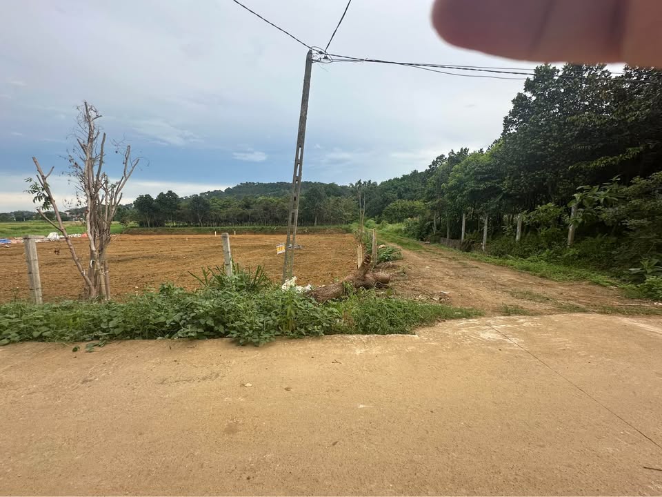 Đất thổ cư 200m² tại Ba Vì 900m² giá 6.5 tỷ - Mảnh đất đẹp hiếm có!