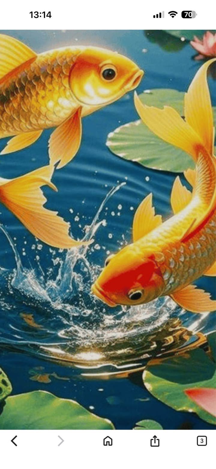 Nhà hẻm 842 đường Bùi Thiện Ngộ, Vũng Tàu 19m² giá 520 triệu - Sổ chung, thuận tiện đi lại!