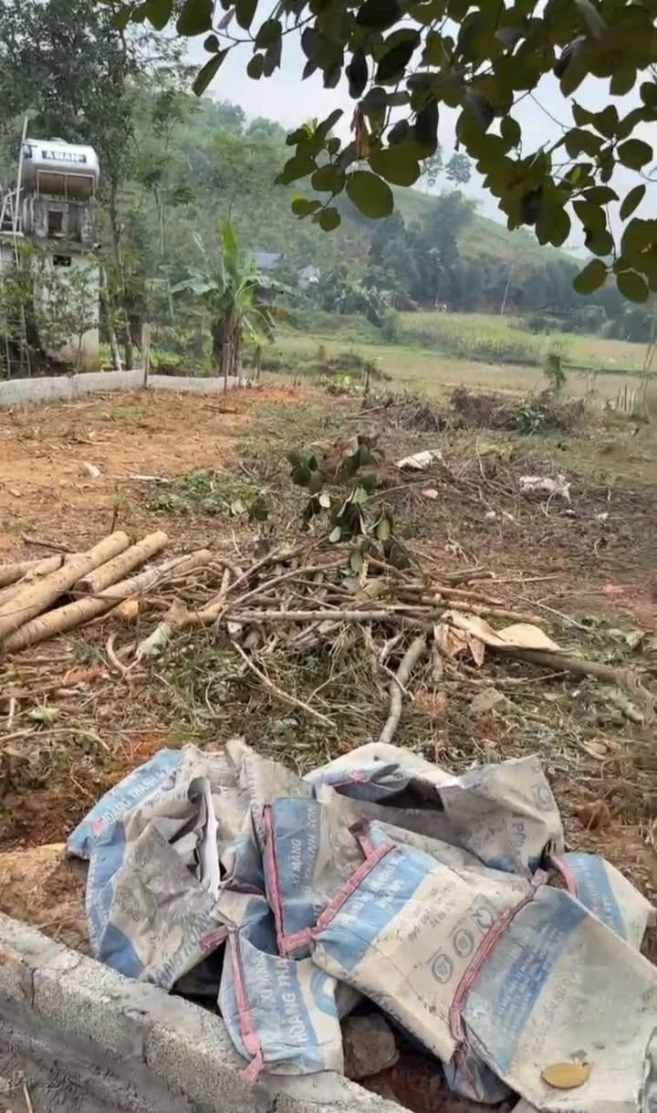 Đất nền Phú Thọ 1000m² - Gần Quốc lộ 70B, pháp lý rõ ràng!