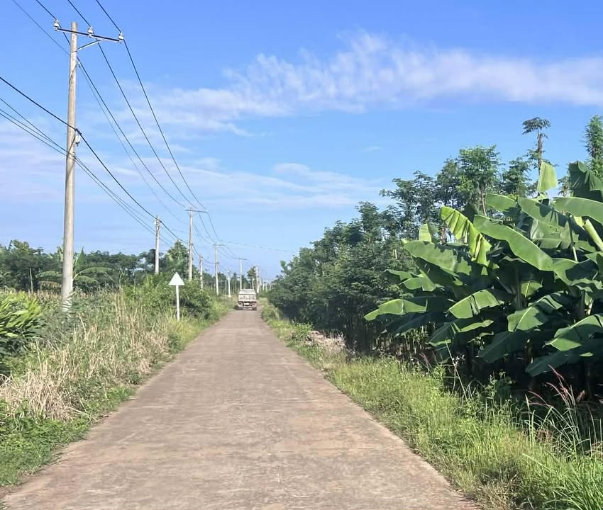 Đất Suối Cao 10.000m² giá 600 triệu - Đường bê tông, điện đầy đủ!