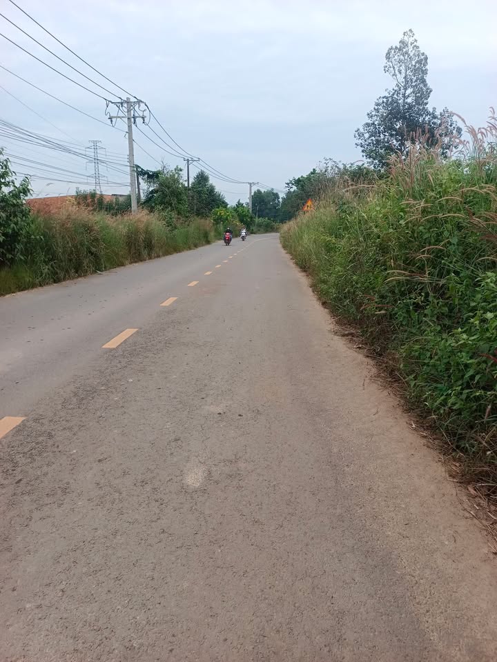 Đất nền 1 sào mặt tiền đường Xuân Trường Trảng Táo - Giá chỉ 1.35 tỷ