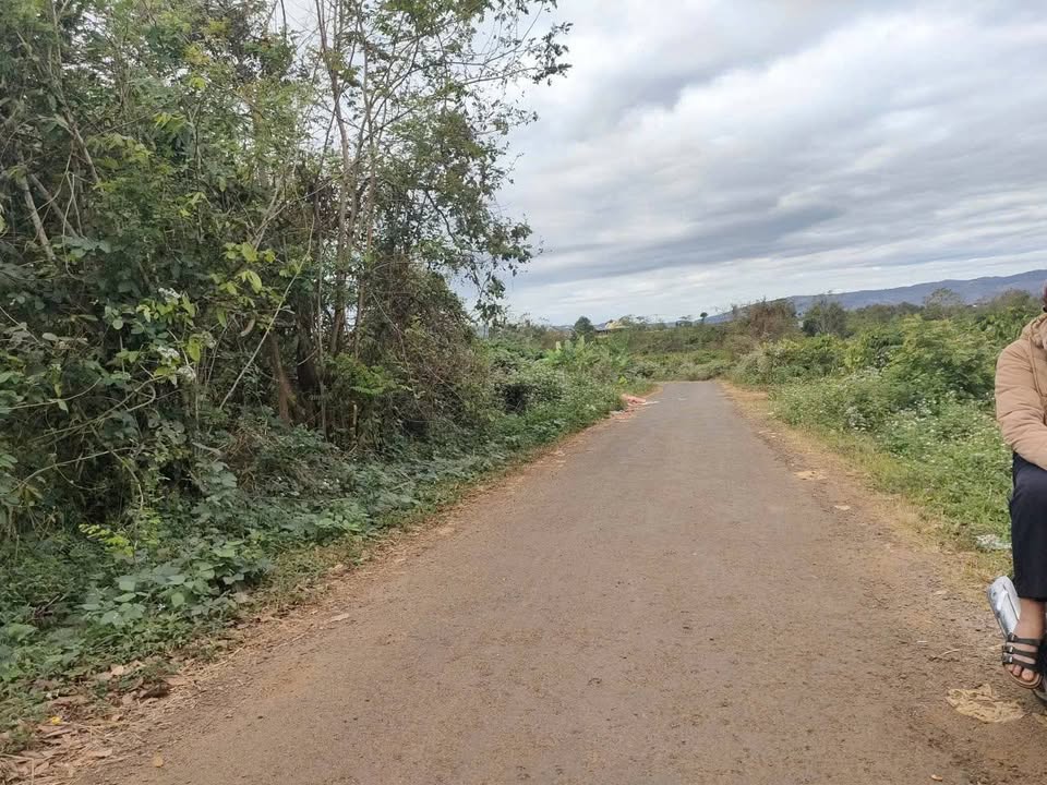 Đất Farm cho thuê tại Ia Hrung, Ia Grai 10.800m² giá 300 triệu - Đầu tư sinh lời lâu dài!