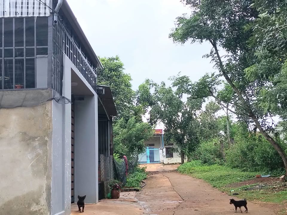 Đất thổ cư 210m² tại hẻm Trương Định, Pleiku - Giá chỉ 700 triệu!