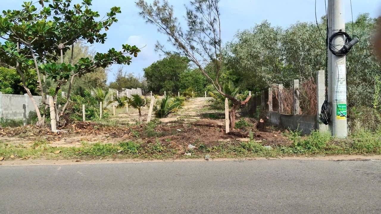 Đất nền mặt tiền Nguyễn Cơ Thạch Mũi Né 662m² giá 8.6 tỷ - Đầu tư sinh lời tuyệt vời!