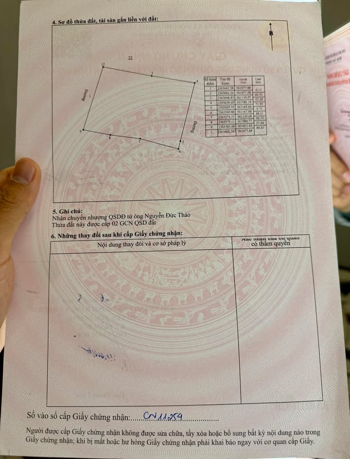 Đất nền Hướng Đạo, Tam Dương 9145m² giá 4 tỷ - Cơ hội đầu tư hấp dẫn!