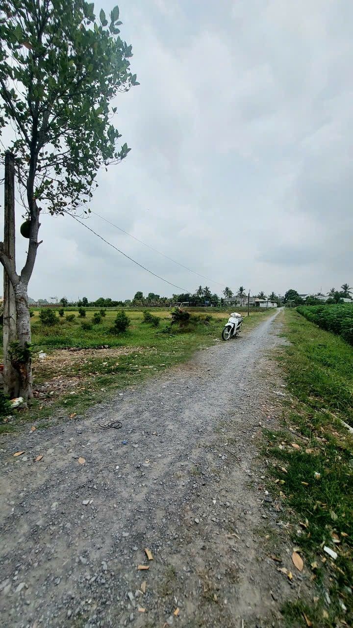 Đất Nền Ninh Thuận 2 Công 7 giá 1.755 tỷ - Vị trí đắc địa cho nghỉ dưỡng