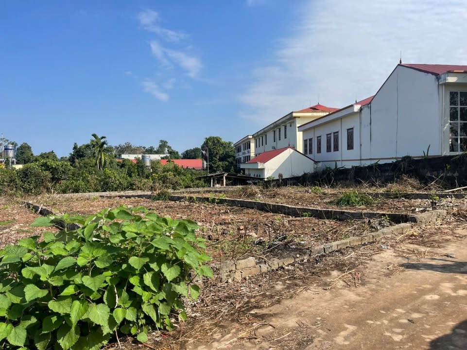 Đất Kép, Lạng Giang, 100m² - Đầu tư siêu lợi nhuận, an cư lý tưởng!