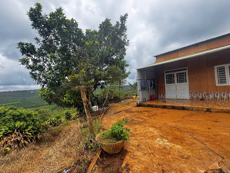 Đất nền Đinh Trang Thượng - Di Linh 7189m² giá 6.5 tỷ - Đầu tư sinh lời ngay!