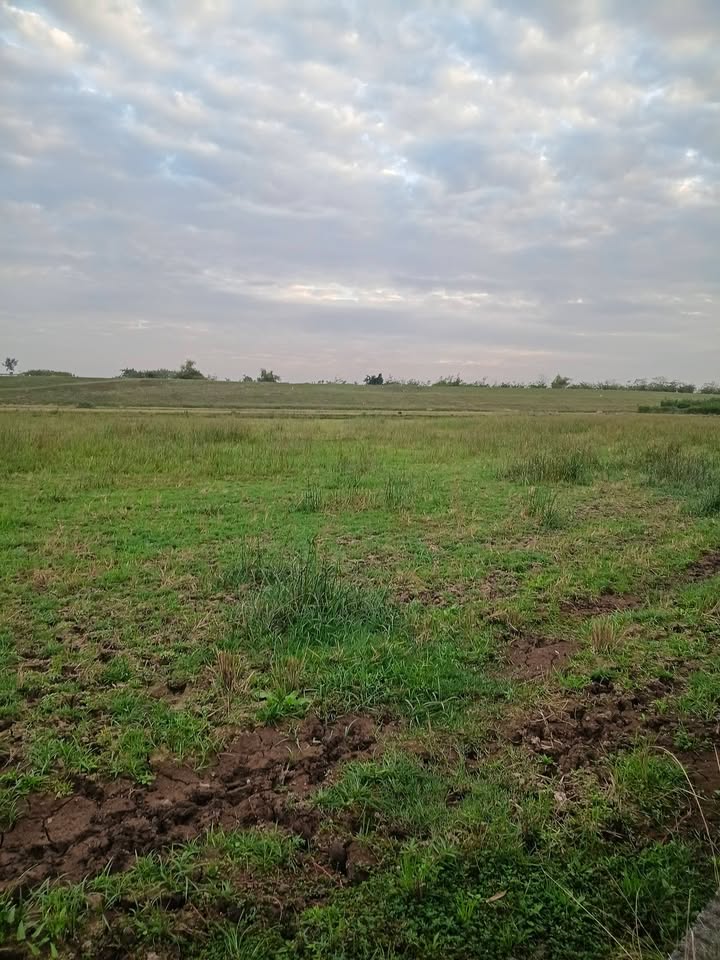 Đất ruộng 1000m² tại Thôn Thịnh Liên, Phù Đổng - Giá chỉ 5.904 tỷ - Cơ hội đầu tư hấp dẫn!