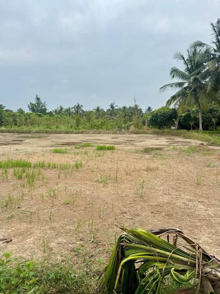 Đất Thổ Cư 138.8m² Mặt Tiền Đường Nhựa 5 Tấn Giá Chỉ 320 Triệu - Đầu Tư Sinh Lời Ngay!