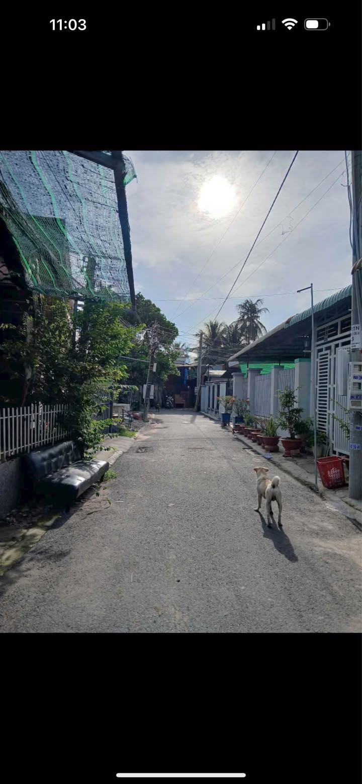 Nhà cấp 4 mặt tiền đường nhựa P4 Tây Ninh 254m² - Hạ giá bán gấp!