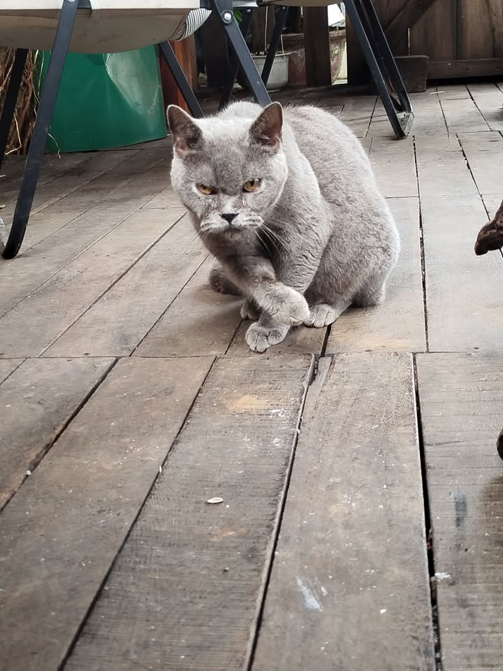 Đất nền mặt tiền Quốc lộ 26, Krông Pắc, 981m² - Cơ hội đầu tư hấp dẫn!