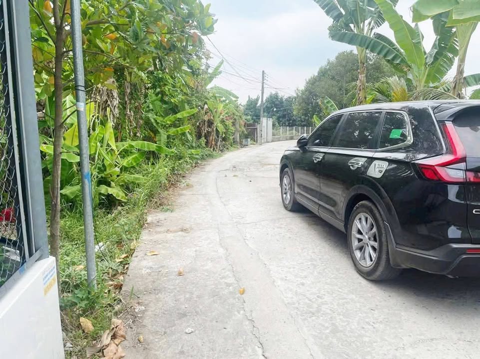 Bán đất nền Rạch Ngã Bát, đường Trương Vĩnh Nguyên 84m² - Giá chỉ 850 triệu!