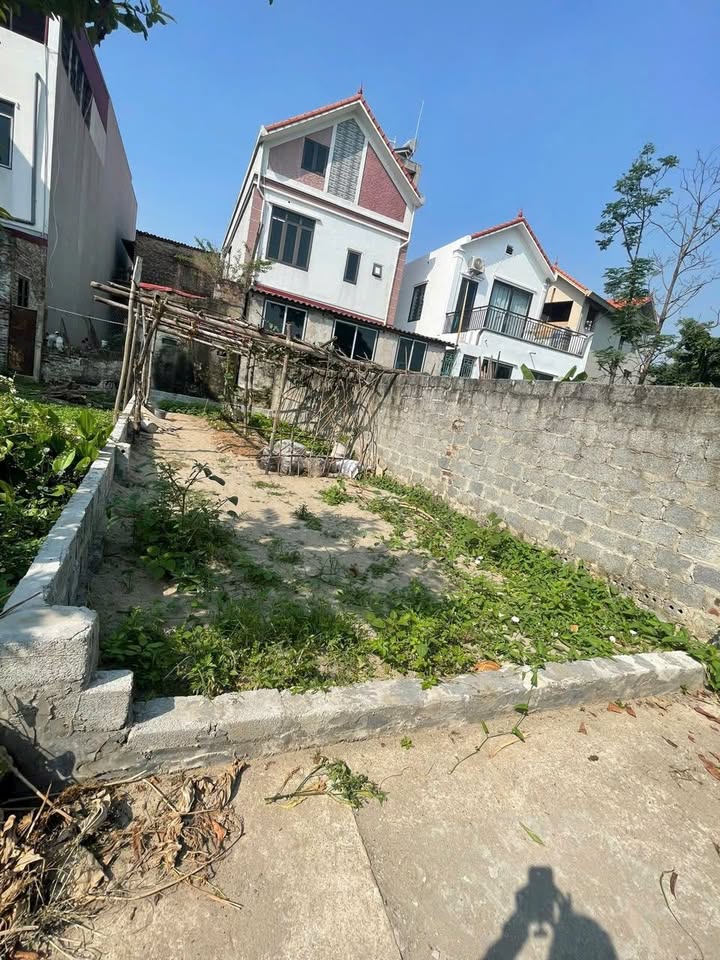 Đất Thắng Lợi, Thường Tín 46m² giá 3 tỷ - Địa điểm lý tưởng cho đầu tư!