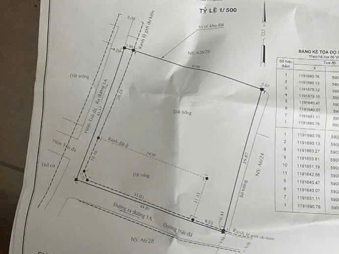Đất thổ cư 1500m² tại Tân Vĩnh Lộc, Bình Chánh - Đầu tư sinh lời cao!