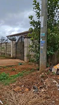 Đất thổ cư Thuận Thành Đắk Song 350m² giá 1.1 tỷ - Khu dân cư sầm uất