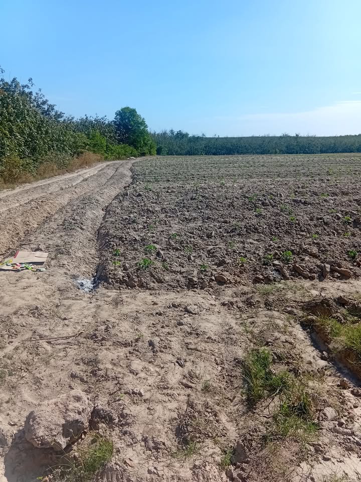 Đất Tân Hòa 70.000m² giá 900 triệu - Cơ hội đầu tư sinh lời