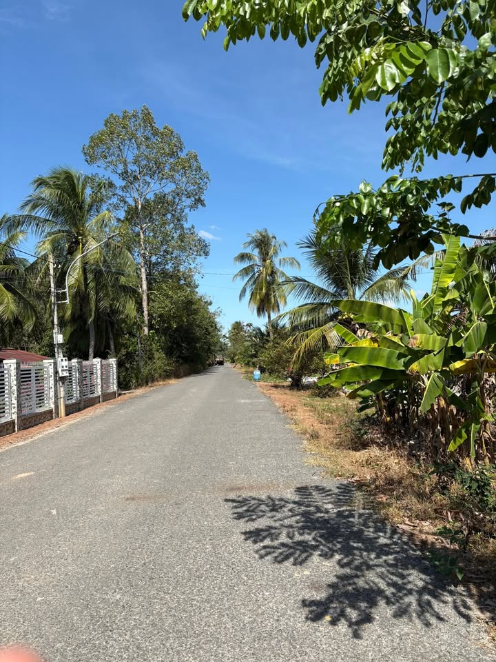 Đất thổ cư Tân Lập Tây Ninh 256m² giá 270 triệu - Cơ hội đầu tư tuyệt vời!