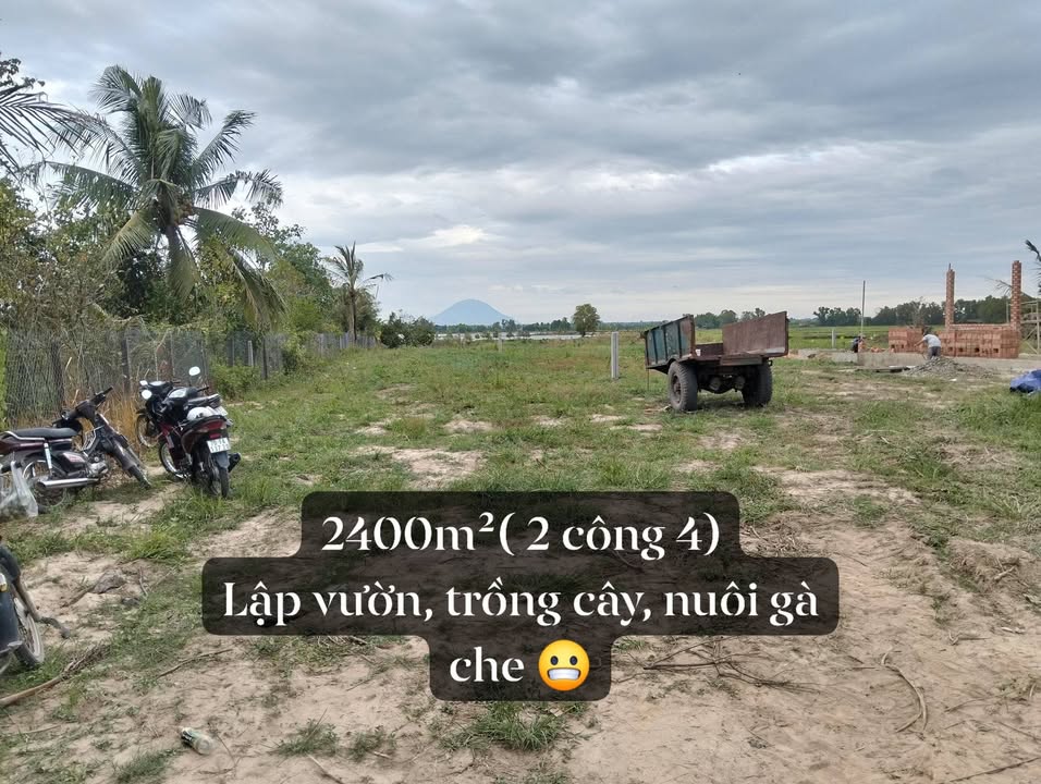 Đất vườn 2400m² tại Tiên Thuận, Bến Cầu - Cơ hội vàng cho người yêu thiên nhiên!