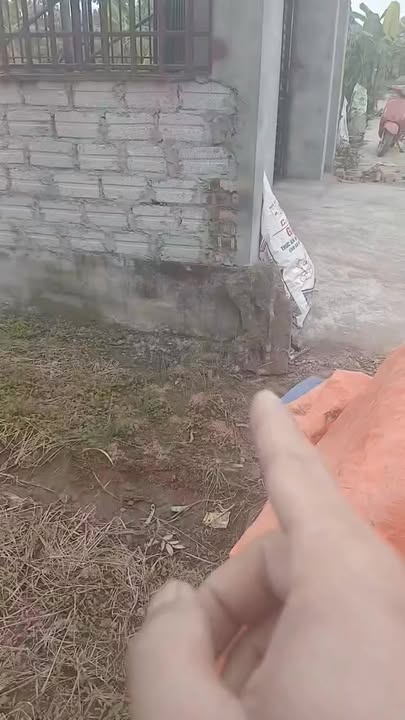 Đất thổ cư Quang Trung, Tứ Kỳ 244m² - Cạnh KCN Nguyên Giáp!