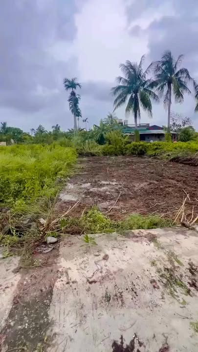 Đất nền Tứ Kỳ 100m² giá chỉ vài trăm triệu - Cơ hội đầu tư hấp dẫn!